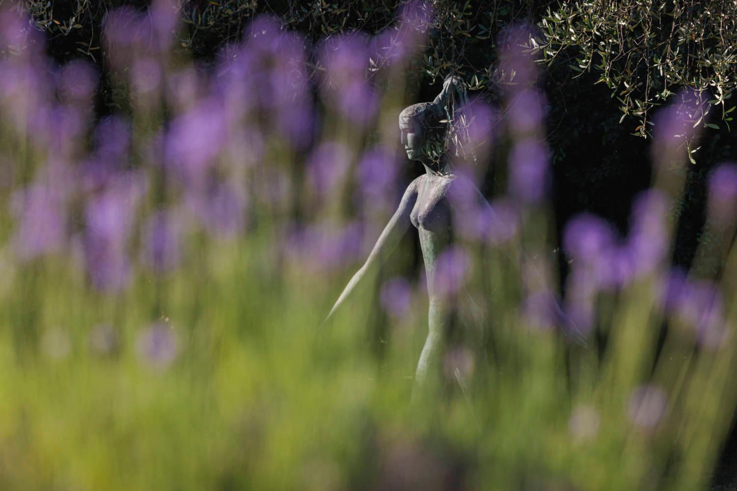 Hotel Du Clos Le Rouret ภายนอก รูปภาพ